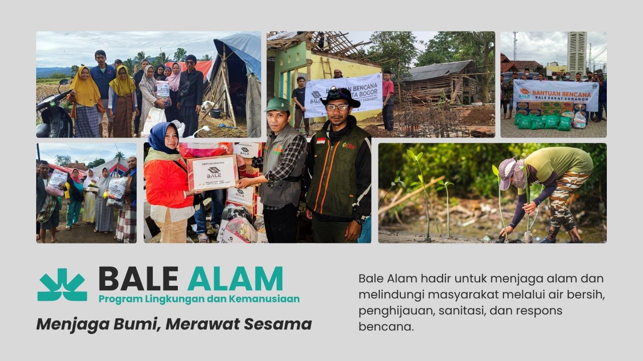 BALE ALAM